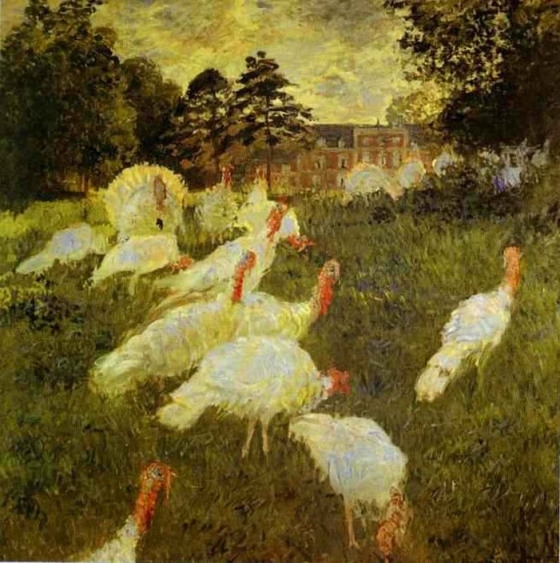 white turkeys.jpg